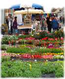 photo brocante