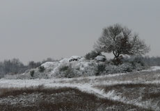 photo d'un button en hiver