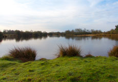 photo etang au printemps