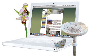 photo montage champêtre et ordinateur avec site de méobecq