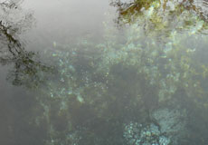 photo de l'eau avec des bulles