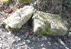 photo de vestiges romains